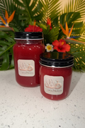 Watermelon Hibiscus Seamoss