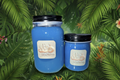 Blue Raspberry, Coconut & Strawberry EFX Seamoss Gel